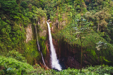 Toro Waterfall (Catarata Del Toro) in Juan Castro Blanco National Park in Costa Rica latin America 