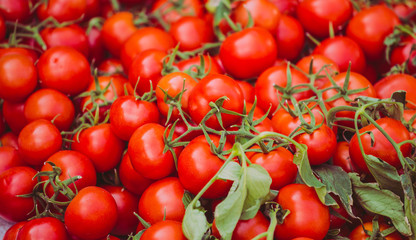 Ripe tomatoes on the counter.