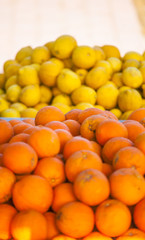 Fresh oranges and lemons close up.