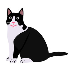 Black and white cat flat illustration on white