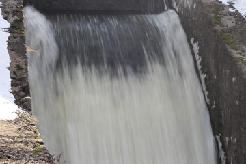 water, nature, tree