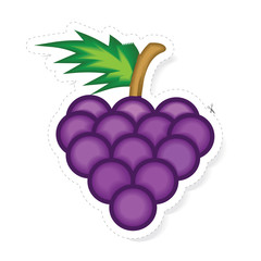 fruit sticker vector
