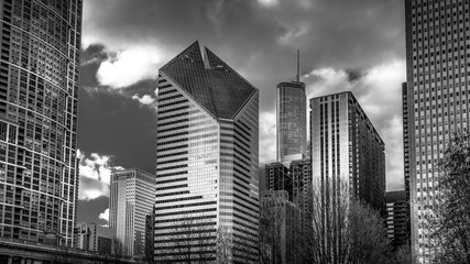 Downtown Chicago in Black and White