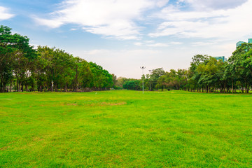 Obraz na płótnie Canvas Green field city public park with row of tree and blue sky