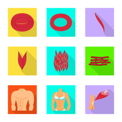Isolated object of muscle and cells logo. Collection of muscle and anatomy vector icon for stock.