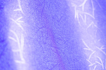  Abstract colorful holographic futuristic texture is saturated with magenta purple and pink colors