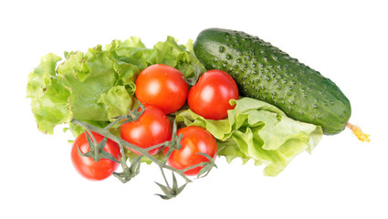 Fresh green cucumber, red tomatoes and green salad leaves isolated on white background. Ingredients for vegetable salad