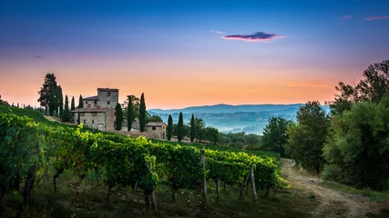 Tuinposter Panorama of Tuscan vineyard covered in fog at the dawn near Castellina in Chianti, Italy © Bogusz