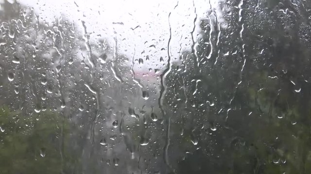 Lot of rain drops on window. Rainy day, wet glass. Blurred trees behind. Strong wind and streams of water at the back.