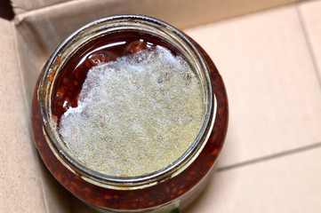 mold on food in a can
