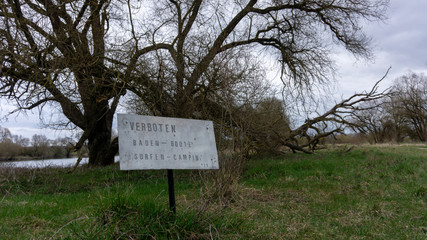 Donau Schmutz Wald sterben Holz