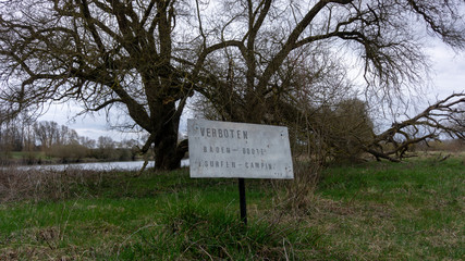 Donau Schmutz Wald sterben Holz
