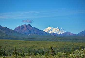 Fototapeta premium Dzięki ogromnym górom i wspaniałej bioróżnorodności znajduje się Park Narodowy Denali i rezerwat. Szlak turystyczny i niebo chmury. Krajobraz, dzieła sztuki. Parks Hwy, Alaska, EUA: 28 lipca 2018 r