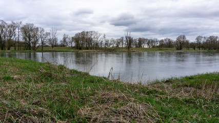 Donau Schmutz Wald sterben Holz