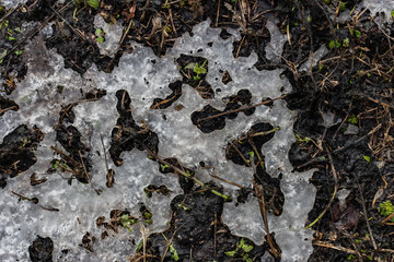 texture of the spring earth