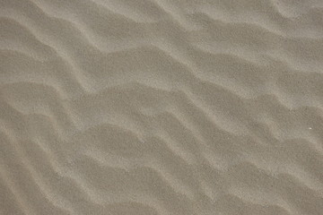 Background from beach sand