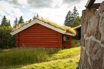 Obraz premium Norwegian house with sod roof
