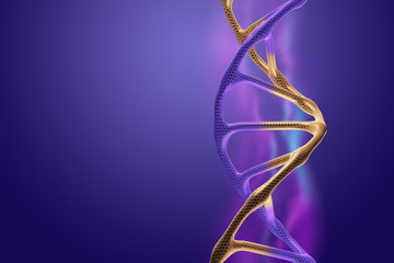 Creative background, dna structure, golden DNA molecule on violet background, ultraviolet. 3d render, 3d illustration. The concept of medicine, research, experiments, experiment, virus, disease.
