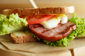 Closeup juicy sandwich with bacon, fresh vegetables, green salad and dark lines after grill