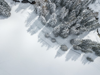 Aerial view of snow covered fir trees