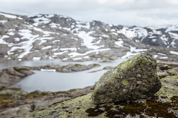Above the tree line in Norway