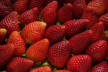 Background from freshly harvested strawberries