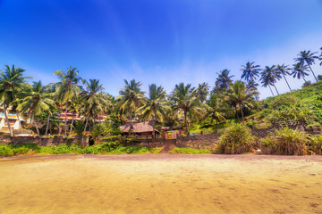 Beaches of Kerala, Kovalam. Morning on the beach, sand, palm trees. India, Trivandrum, Malabar coast.