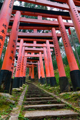 Fototapeta na wymiar Close-Up of Torii Gates on the Inari mountain in the forest. Fushimi Inari Taisha, Kyoto, Japan