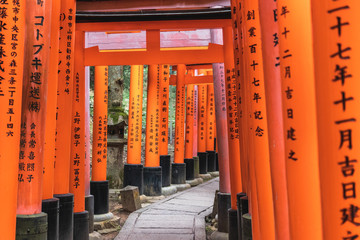 Close-Up of Torii Gates on the Inari mountain in the forest. Fushimi Inari Taisha, Kyoto, Japan
