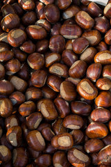 Maronen Esskastanien