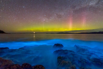 Amazing blue bioluminescence with the aurora australis or Southern Lights dancing in the sky above.