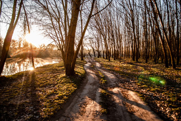  teploye utro vozle lesnoy reki 29/5000 warm morning near the forest river