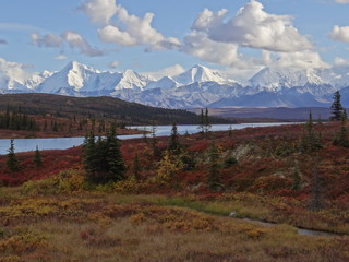 wonder lake in denali