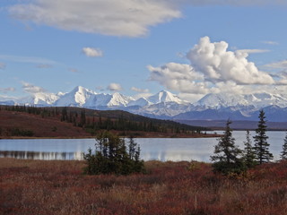 wonder lake in denali