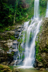 Fototapeta na wymiar waterfall in the forest on the island of Mindoro, the Philippines