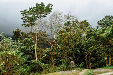 Beautiful mountains, clouds and fog.