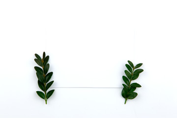 Top view on a sheet of paper and a green twig with leaves. Hero image and copy space