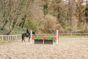 Novi Sad, Serbia - March 16, 2019: Horseman in training a horse clearing