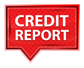 Credit Report misty rose pink banner button