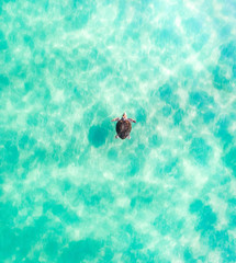 Aerial view of a turtle at sunrise swimming in the ocean blue water.