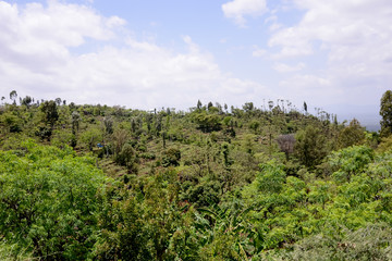 Landscape in Danakil