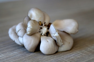Fototapeta na wymiar Beautiful oyster mushroom on a wooden table. Selective focus.