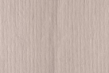 Dense woven ribbed texture. Upholstery fabric close up. Empty light beige background for layouts.