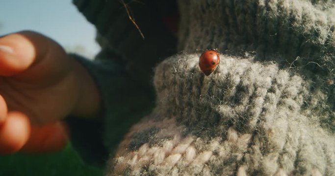 Authentic macro shot of cute little girl examining a lady bug in her hands on a sunny day.