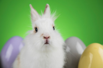 Little cute baby rabbit and easter eggs