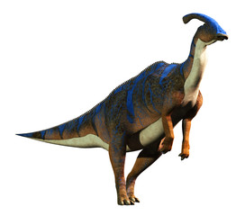A parasaurolophus, a type of herbivorous ornithopod dinosaur of the hadrosaur family stands on two legs.  This prehistoric animal is on a solid white background. 3D Rendering