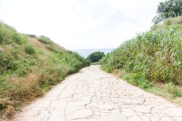 Beach and dunes with beachgrass in summer, stone path leading to the beach at the black sea