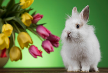 Easter decoration, rabbits,eggs and flowers