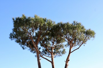Tuscany moments 
