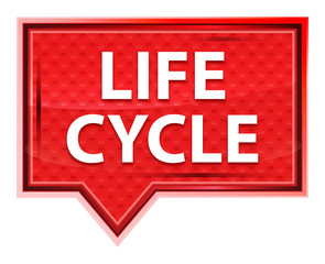 Life Cycle misty rose pink banner button